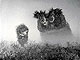 Hedgehog in the Fog